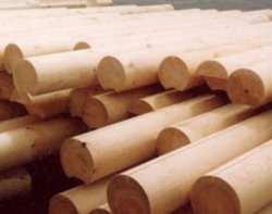 Выбор древесины для строительства дома